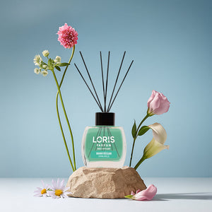 Difusor de varillas Spring Breeze 120 ml