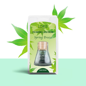 Aromatizante decorativo para auto Spring Breeze 9 ml